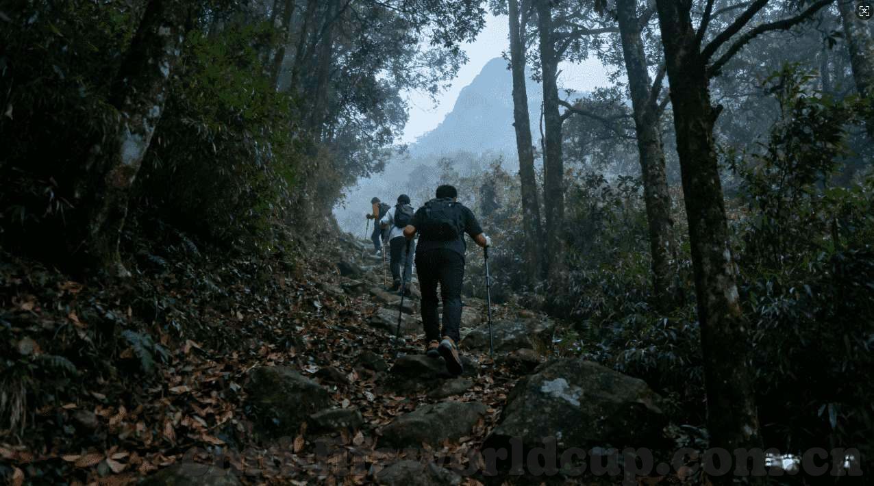 世界杯投注app苹果-世界杯投注app苹果，便捷体验与安全保障的完美结合